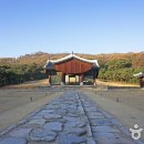 김태연국민동태탕·찜 이미지