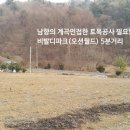 [홍천토지매매] 넓고 평탄화 되어 있는 남향의 동호인주택부지 및 전원주택부지매매. 893평 3억 5천만원 이미지