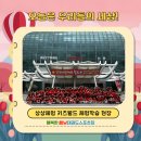 우리들키즈태권도장