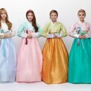 고와요 Daum카페