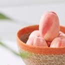 충주꿀사과농원