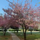 시범사우나 이미지