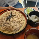 군자역 일식 일본가정식 세종대맛집 혼밥추천 마리모 내돈내산후기