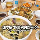 대부도 맛집 해물왕창칼국수 내돈내산 애견동반가능 식당 추천!