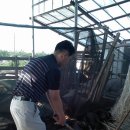 동서스크린골프 이미지