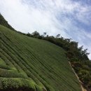 다원산업 이미지