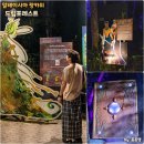 랑카위 관광지 드림포레스트 야간 여행 코스 아이와 갈만한곳