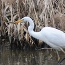 백로마을 이미지