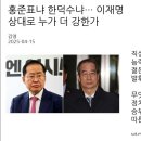 [뉴스 ＞ 대통령실·총리실] 홍준표냐 한덕수냐… 이재명 상대로 누가 더 강한가 이미지