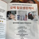 [수원미용실 후기] 남편의 탈모 고민 해결 시작! 아엠헤드 모백생장술 솔직후기