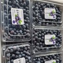 이용식농장 이미지