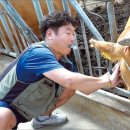 이종원 농장 농민신문