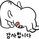 읍천리382인천