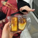 동화요리사A | 2026 더글로우 | 3.21-22 페스티벌 양일 관람 | 이승윤, 혁오, 한로로, 리도어