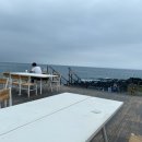 봄날애견 이미지