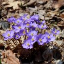 자연휴양림 입구 이미지