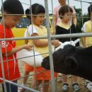 길원목장 이미지