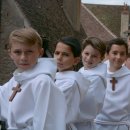 천상의 나무 이미지