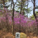 구봉산 | 호천산 · 수정산 · 구봉산 등산 후기
