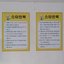 스타인력 이미지