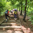 제125차 정기산행(과천 서울대공원 산림욕장둘레길,230701) 이미지