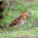 LPG충전소 앞 이미지