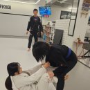 취미는운동 | 보령주짓수 아카데미 취미운동 시작 후기! 생각보다 훨씬 재미있던 이유