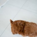 연지매장 이미지