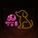 59펫살롱 이미지