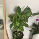 부평김안과의원 이미지