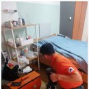 다듬이 | 천안 방역 업체 싹잡아방역 먼지다듬이 바퀴벌레 퇴치 후기