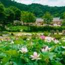 증평민속체험박물관 이미지