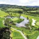 디아너스 이미지