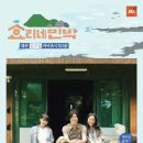 효리네 민박 이미지