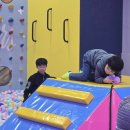 원도태권도장 이미지