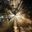 【재능기부강의】 ★배우고 나눔 선학 요가★ | 치악산 명상 클래스 &#34;에너지 정화 시크릿 클래스&#34;, 23년 5월 참여 후기