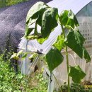 박곡농장 이미지