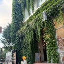 stay gyo-gyo