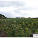 화덕보건진료소 이미지