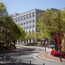 고려대학교
