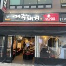 제주부리는돼지 이미지
