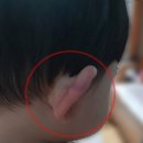 서울경찰청 어린이집 이미지