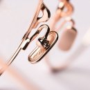 로즈골드(Rose Gold) 이미지