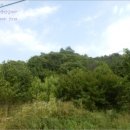 사봉면-2 이미지