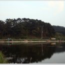 죽림지 이미지