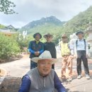 제363차 俗離山 成佛寺 木曜山行7.2(木) 이미지