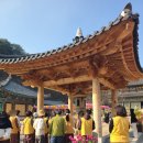 스테이-곁 | 2026년 4월 바쁘다바빠 템플스테이 - 속리산 법주사 템플스테이 휴식형, 시간표, 공양, 예불, 숙소 후기