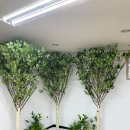 서홍동주민센터 이미지