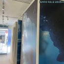 포토이즘천안
