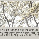 은혜환경주 이미지